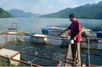 Da river fish - A specialty of Hoa Binh Reservoir